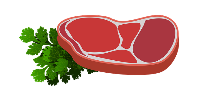 maso aneb zdroj bílkovin